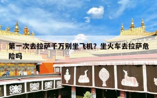 第一次去拉萨千万别坐飞机？坐火车去拉萨危险吗