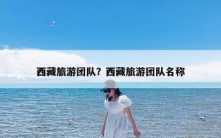 西藏旅游团队？西藏旅游团队名称