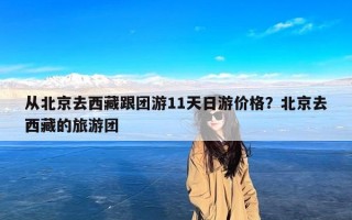 从北京去西藏跟团游11天日游价格？北京去西藏的旅游团
