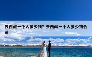 去西藏一个人多少钱？去西藏一个人多少钱合适