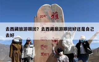 去西藏旅游跟团？去西藏旅游跟团好还是自己去好