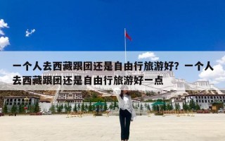 一个人去西藏跟团还是自由行旅游好？一个人去西藏跟团还是自由行旅游好一点