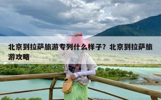 北京到拉萨旅游专列什么样子？北京到拉萨旅游攻略