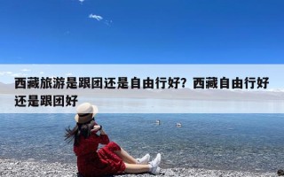 西藏旅游是跟团还是自由行好？西藏自由行好还是跟团好