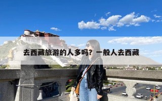 去西藏旅游的人多吗？一般人去西藏