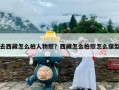 去西藏怎么拍人物照？西藏怎么拍照怎么摆型