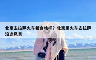 北京去拉萨火车餐食啥样？北京坐火车去拉萨沿途风景