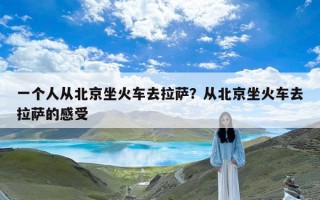 一个人从北京坐火车去拉萨？从北京坐火车去拉萨的感受