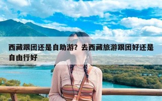 西藏跟团还是自助游？去西藏旅游跟团好还是自由行好
