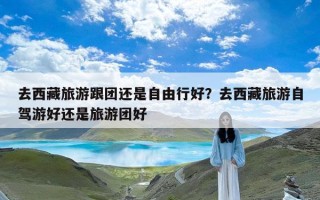 去西藏旅游跟团还是自由行好？去西藏旅游自驾游好还是旅游团好