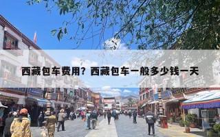 西藏包车费用？西藏包车一般多少钱一天