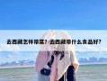 去西藏怎样带菜？去西藏带什么食品好?