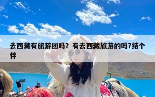 去西藏有旅游团吗？有去西藏旅游的吗?结个伴