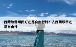 西藏旅游跟团好还是自由行好？去西藏跟团还是自由行