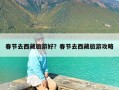 春节去西藏旅游好？春节去西藏旅游攻略