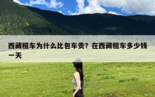 西藏租车为什么比包车贵？在西藏租车多少钱一天