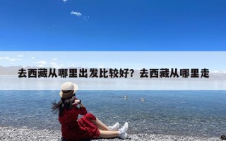 去西藏从哪里出发比较好？去西藏从哪里走