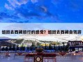 组团去西藏旅行的感受？组团去西藏自驾游
