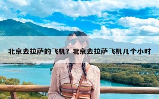 北京去拉萨的飞机？北京去拉萨飞机几个小时