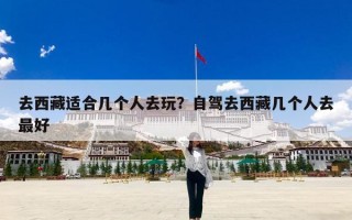 去西藏适合几个人去玩？自驾去西藏几个人去最好