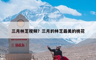 三月林芝视频？三月的林芝最美的桃花