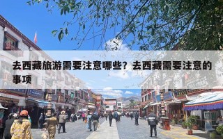 去西藏旅游需要注意哪些？去西藏需要注意的事项