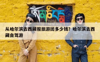 从哈尔滨去西藏报旅游团多少钱？哈尔滨去西藏自驾游