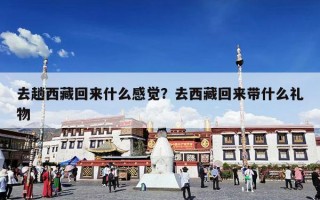 去趟西藏回来什么感觉？去西藏回来带什么礼物