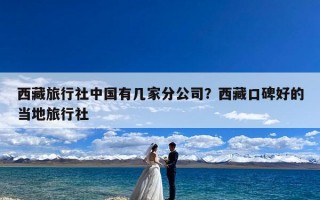西藏旅行社中国有几家分公司？西藏口碑好的当地旅行社