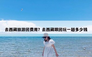 去西藏旅游团费用？去西藏跟团玩一趟多少钱