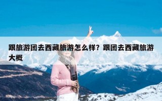 跟旅游团去西藏旅游怎么样？跟团去西藏旅游大概