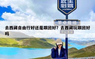 去西藏自由行好还是跟团好？去西藏玩跟团好吗