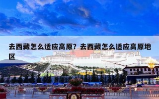 去西藏怎么适应高原？去西藏怎么适应高原地区