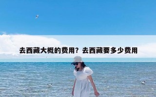 去西藏大概的费用？去西藏要多少费用