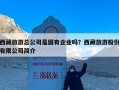 西藏旅游总公司是国有企业吗？西藏旅游股份有限公司简介