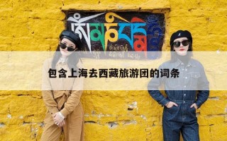 包含上海去西藏旅游团的词条