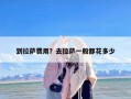 到拉萨费用？去拉萨一般都花多少