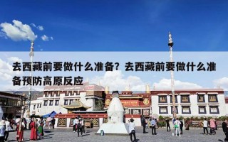 去西藏前要做什么准备？去西藏前要做什么准备预防高原反应