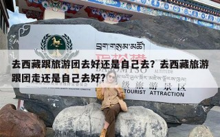 去西藏跟旅游团去好还是自己去？去西藏旅游跟团走还是自己去好?