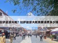 拉萨旅游大概？拉萨旅游大概需要消费多少钱