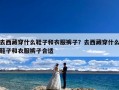 去西藏穿什么鞋子和衣服裤子？去西藏穿什么鞋子和衣服裤子合适