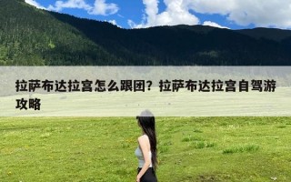 拉萨布达拉宫怎么跟团？拉萨布达拉宫自驾游攻略