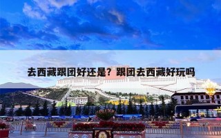 去西藏跟团好还是？跟团去西藏好玩吗