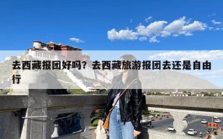 去西藏报团好吗？去西藏旅游报团去还是自由行