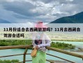 11月份适合去西藏旅游吗？11月去西藏自驾游合适吗