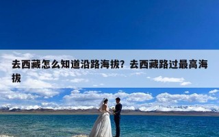 去西藏怎么知道沿路海拔？去西藏路过最高海拔