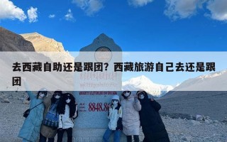 去西藏自助还是跟团？西藏旅游自己去还是跟团