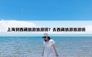 上海到西藏旅游旅游团？去西藏旅游旅游团