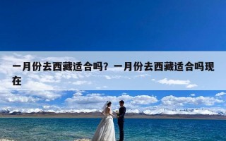 一月份去西藏适合吗？一月份去西藏适合吗现在