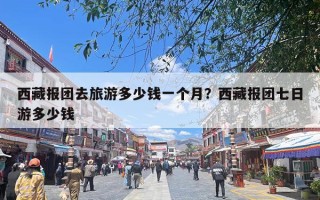 西藏报团去旅游多少钱一个月？西藏报团七日游多少钱